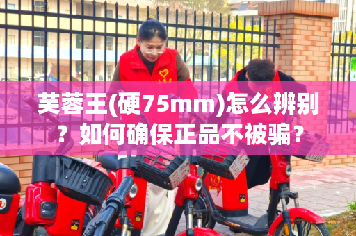 芙蓉王(硬75mm)怎么辨别？如何确保正品不被骗？